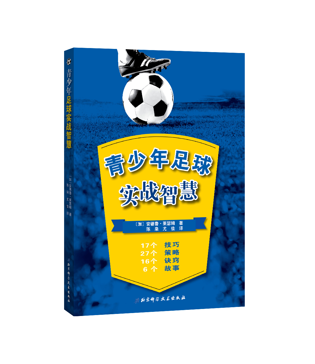 包含青少年足球“技能+素养”同步提升，行业标准逐步完善的词条