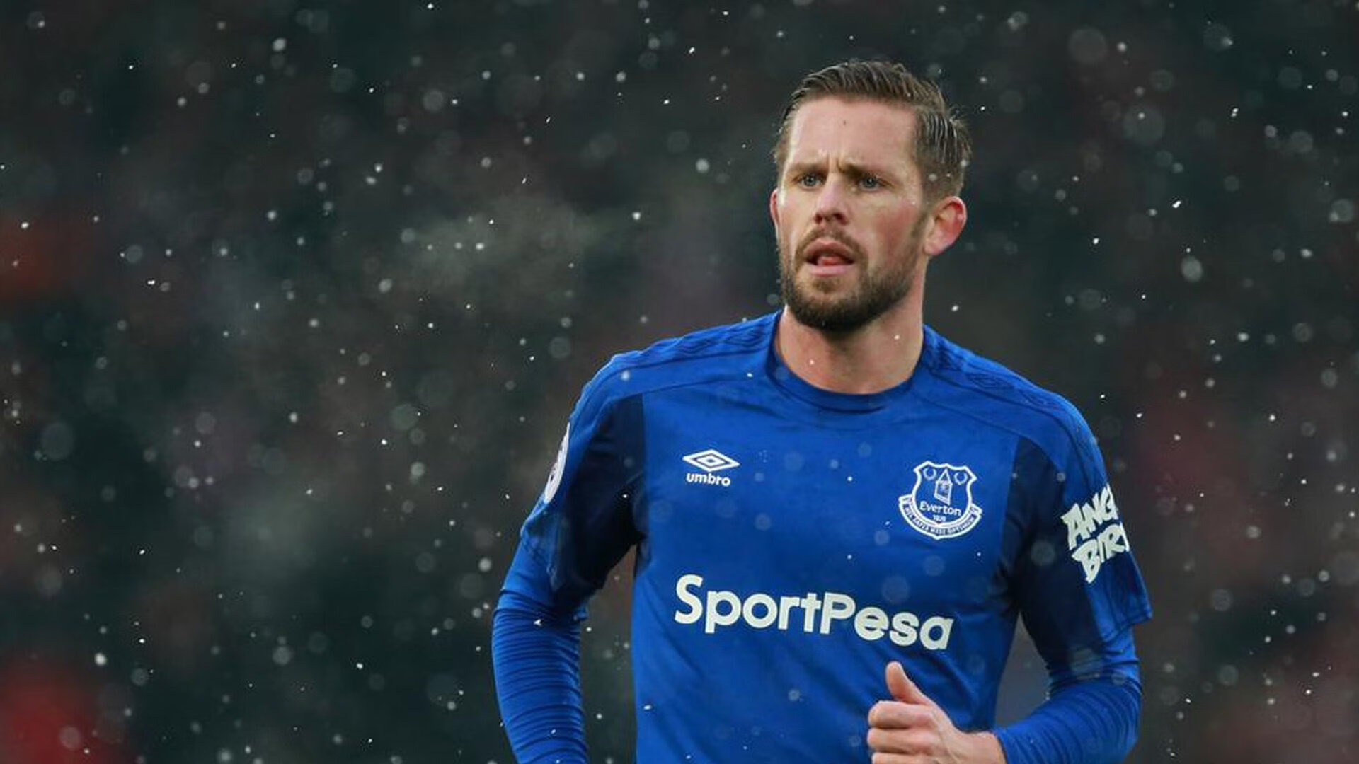 “天气挑战:暴雨雪雾的极限考验”,暴雨气象预报