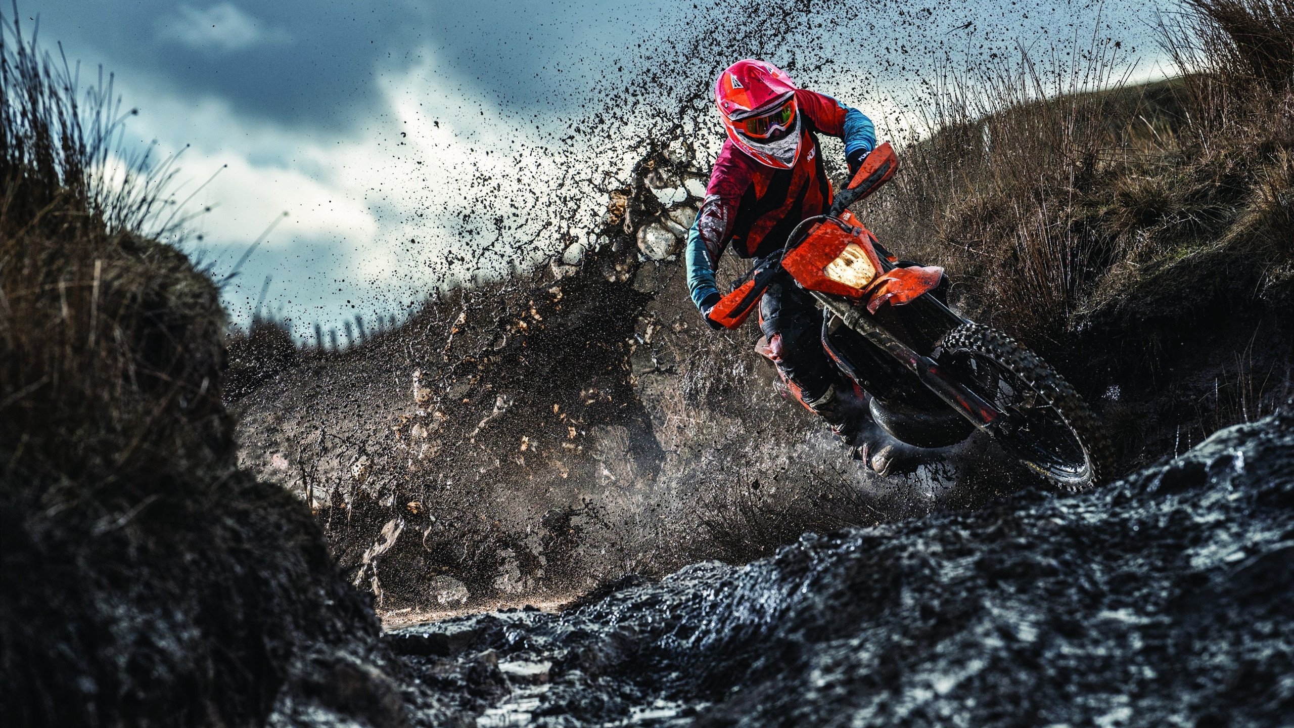 球迷欢呼：王强最后三分绝杀，现场气氛爆棚！，王强去哪了